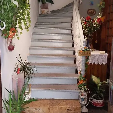 Stella 3*