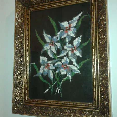Stella Hotel 3*