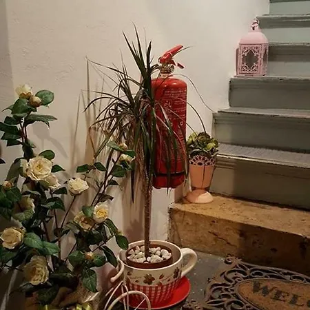 Hotel Stella 3*