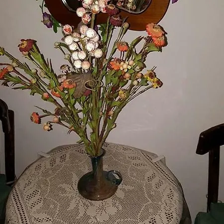 Stella Hanya