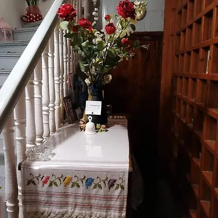 Stella 3* 하니아